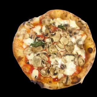 Funghi