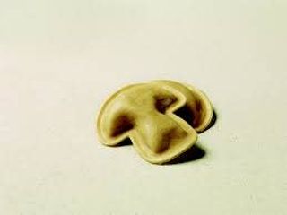 Ravioli Funghi Porcini