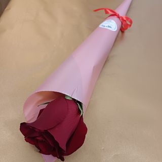 Ruža crvena u kornetu