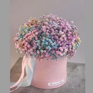 ყუთის გიფსოფილა (Small size)
