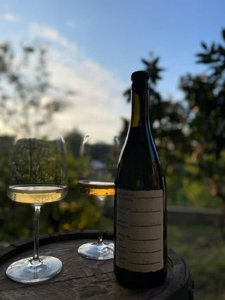 ბაღდათის ციცქა-ცოლიკოური თეთრი