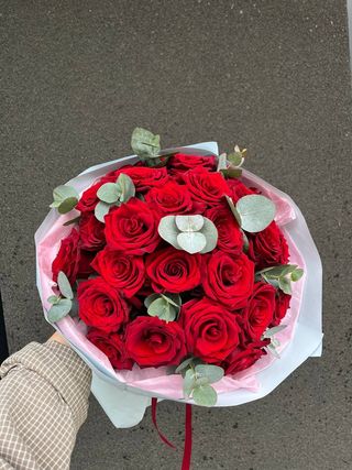 Bukiet 25 czerwonych róż Explorer (40cm)