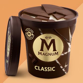 MAGNUM Barattolo Cioccolato al latte classico 440ml