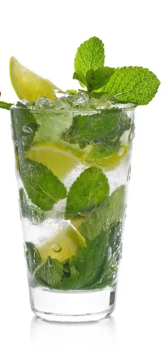 Mojito Menthe