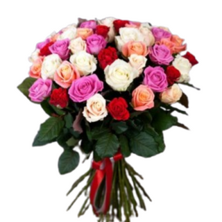 9 kolorowych róż ( długość 50-60 cm ) 