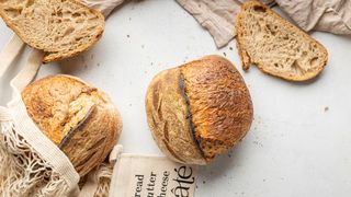 Тартин гречневый