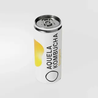 Aquela Kombucha Gengibre - 6x 25cl (latas)
