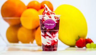 Jogurt mrożony z gorącymi malinami 350g