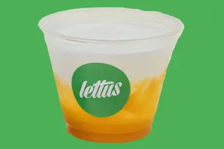 YOGUR MANGO