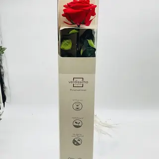 ROSA ROJA PRESERVADA