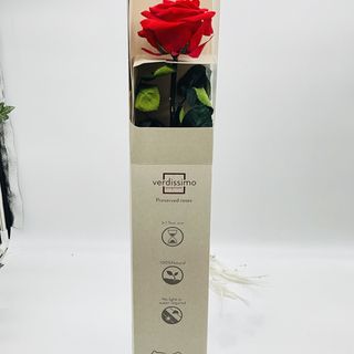 ROSA ROJA PRESERVADA