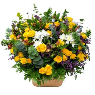 Golden Sunshine Bloom