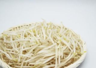 Gerrmogli di soia saltati