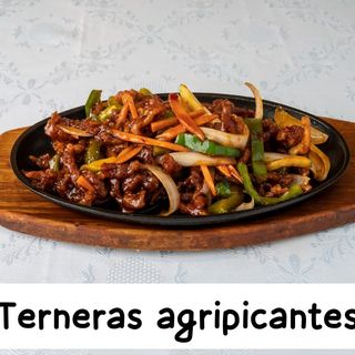 Pollo Con Salsa Agripicante