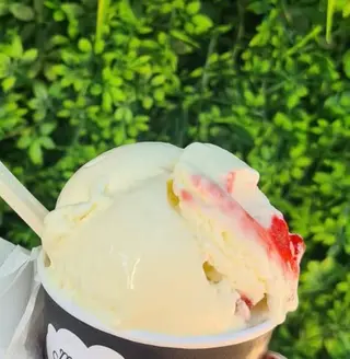 Yogurt- visnja