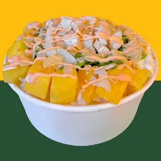 Pokè Saporito