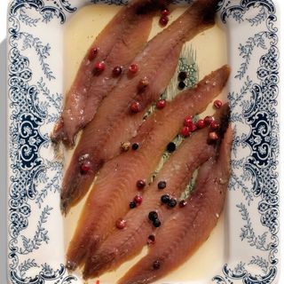 Anchoas del Cantábrico
