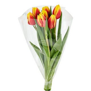Buchet 7 lalele