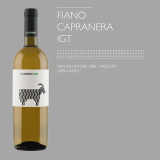 Fiano Capranera IGT
