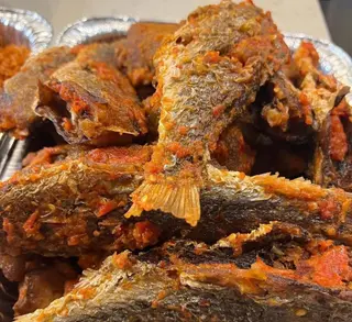 Peppered Croaker Fish