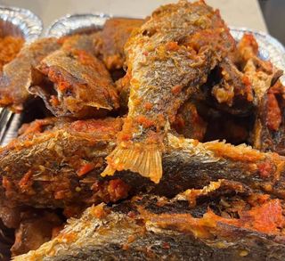 Peppered Croaker Fish