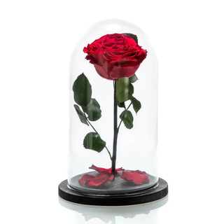 Forever Rose (Trandafir criogenat Rosu)