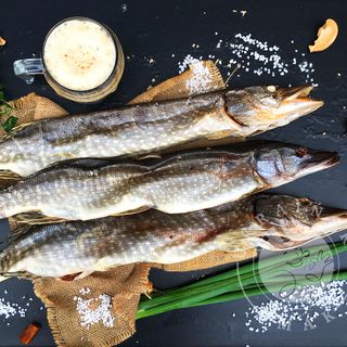 Szczupak suszony wypatroszony 300g