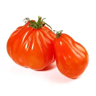 Pomodoro Cuore Di Bue 500g