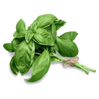 Basilico 30g
