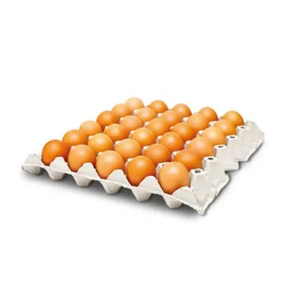 Œufs 60g x 30 filmés - Plateau