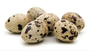 Jaja Svjeza Od Prepelice 12/1 Prepelino