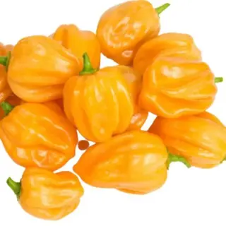 Yellow Habanero 10g