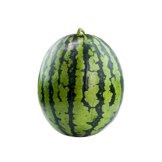 Watermelon Medium