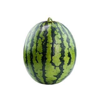 Watermelon (Medium)