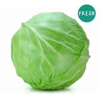 Varză