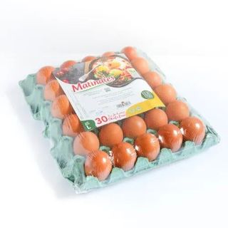 Matinales Œufs Gros Calibre x30