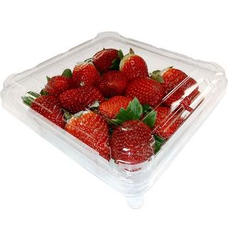 Tarrina De Fresas 500 G