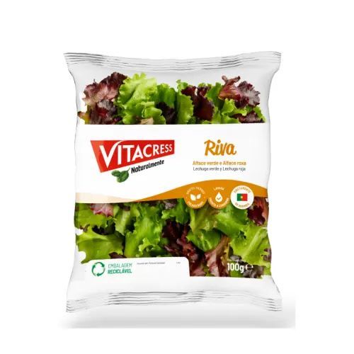 Salada, Preparados e Salteados