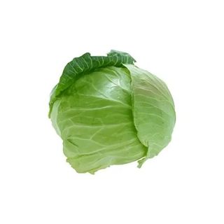 Chou blanc jeune 1 pcs