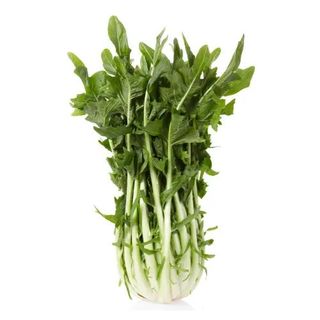 Cicoria Gr.400 - 440134