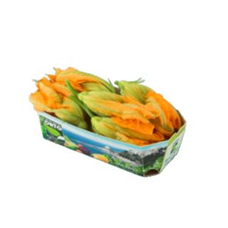 Fiori Di Zucca - 918011