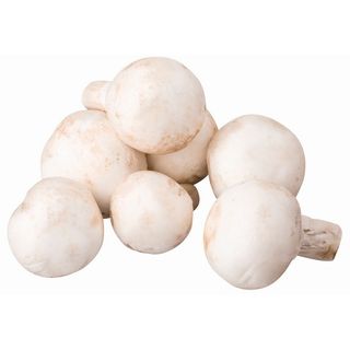Funghi Champignon Nat 500G