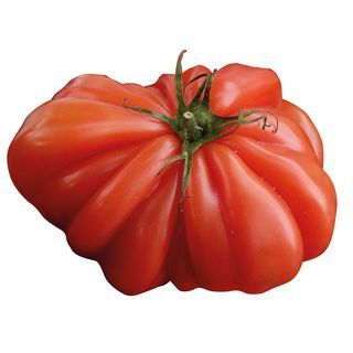 Pomodoro Costoluto Igp 350G