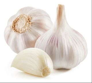 Aglio Bianco Italia 250G Fqc -4571