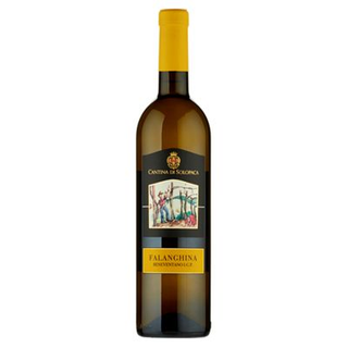 Cantina di Solopaca Falanghina Beneventano I.G.P. 750 ml