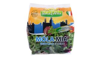 Terra&Vita Songinoe Chioggia