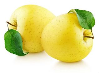 Mele Shinano Gold /Yello X4 - 0431