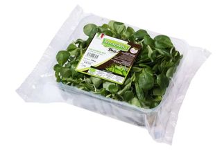 Terra&Vita Bio Valerianagr.100