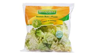 Terra&Vita Cuore Di Lattuga Gr 160