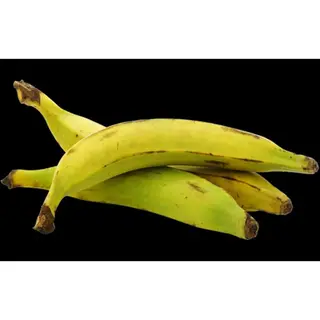 Plantain